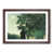 Walnut Framed