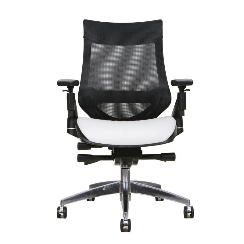 Windber Mesh Task Chair