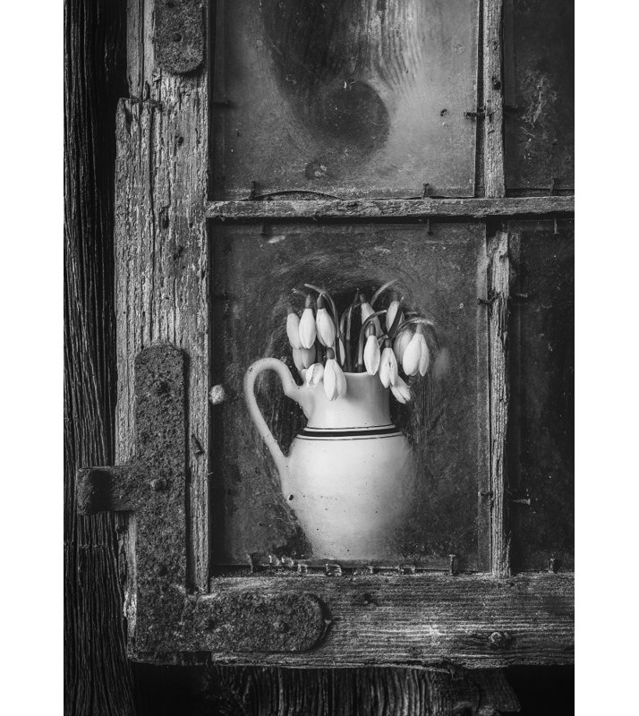 Wrapped Canvas Print, 50.8 cm H x 76.2 cm W