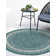 Sevil Indoor / Outdoor Rug