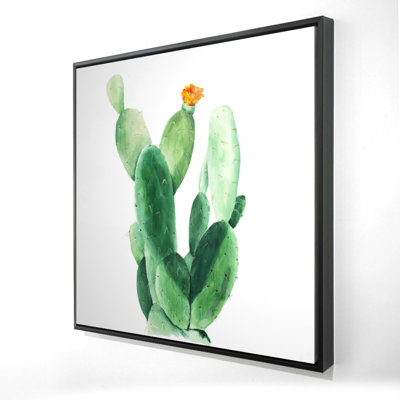 "Cactus aquarelle avec raquette"