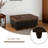 Breux Upholstered Ottoman-1545917447