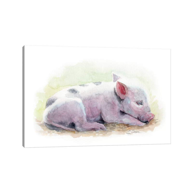 «Sleeping Farm Piglet», reproduction d'art, Toile tendue, Pas de tapis, H 8 po x l 12 po x P 0,75 po
