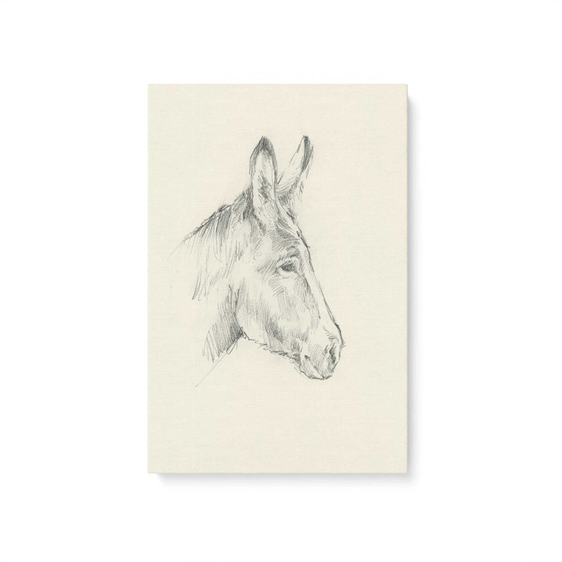 «Donkey Study I» par Ethan Harper, reproduction d'art sur toile, Sans objet, H 48 po x l 36 po, Toile tendue