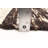 Sienna Brown Rug 5'4" x 7'11"