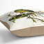 Square Cushion-56245403-56245406
