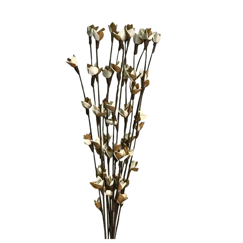 Tige de branche de pois sucrés