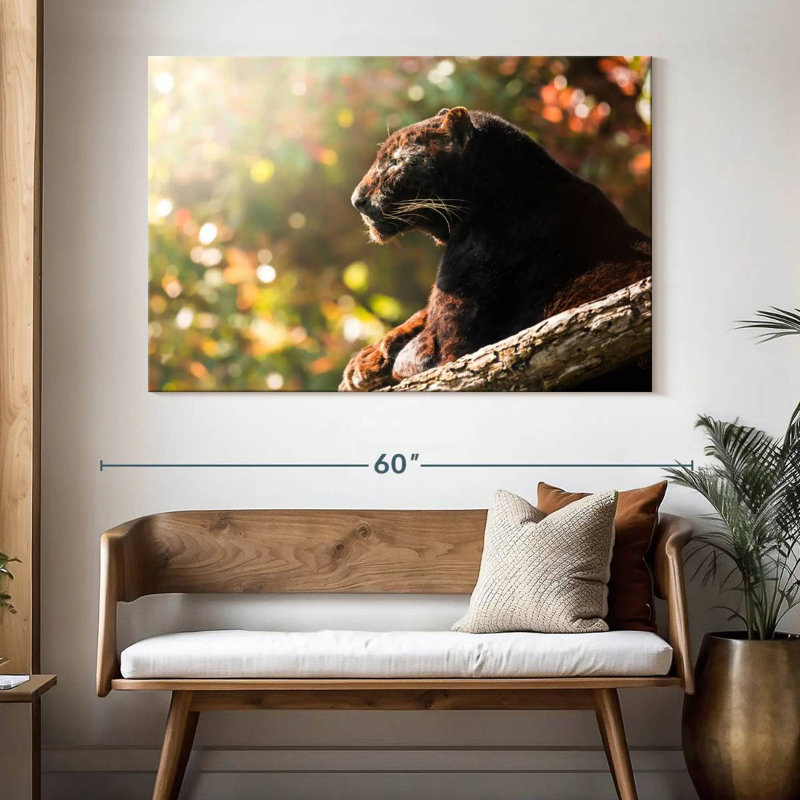 Resting Black Panther, 34" H x 51" W