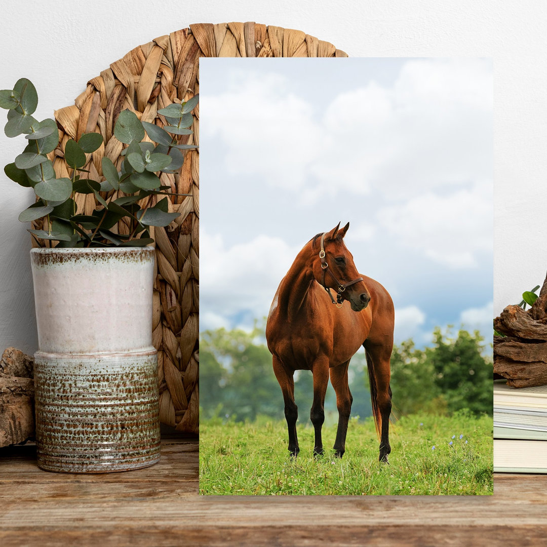 Majestic Chestnut Horse Peaceful Serene Tranquil Horse Nature Landscape Wall Art Print