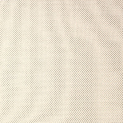 Indoor Rug