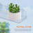Window Plant Floating Shelves 15 Inch, 2 Pack Acrylic Suction Cup Shelf, Window Sill Extender For Indoor Succulent Plants, Micro Greens, Seed Starter Pots, Herb Planters