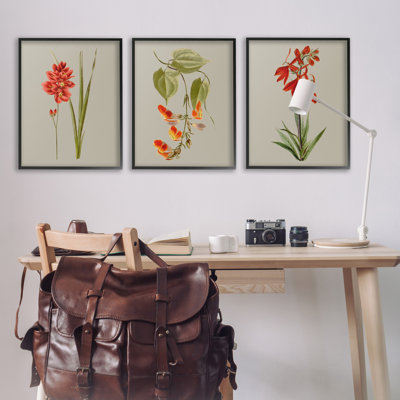 «Woodland Flower Study Single Photo Frame» par Vision Studio 3 - Pièces sur toile