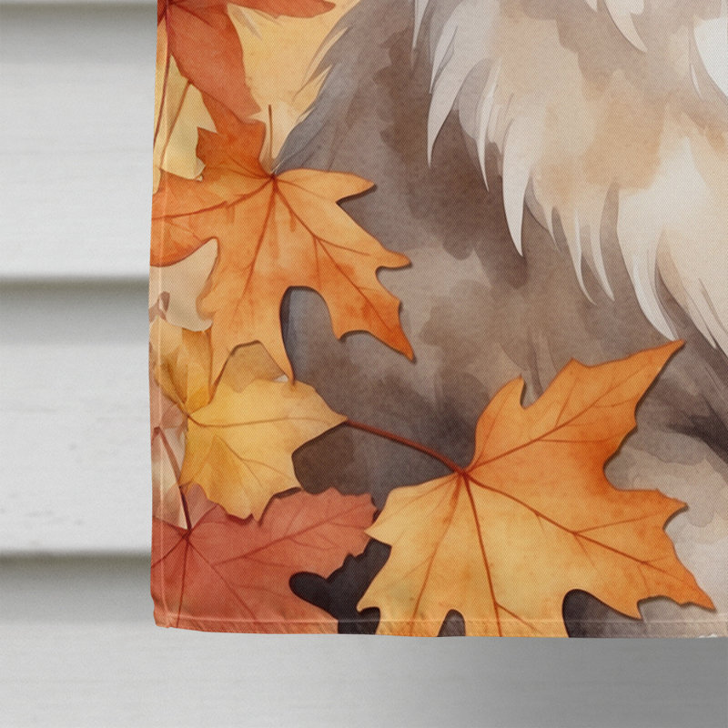 Chat en feuilles d'automne, Ragdoll