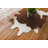 Charissa Cowhide Indoor Rug