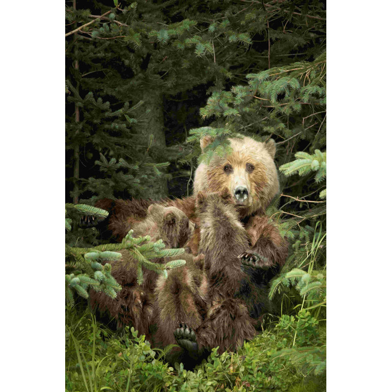 Bears At Play IV, H 18 po x l 12 po