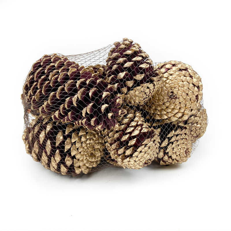 Bourre vase maritima en pin