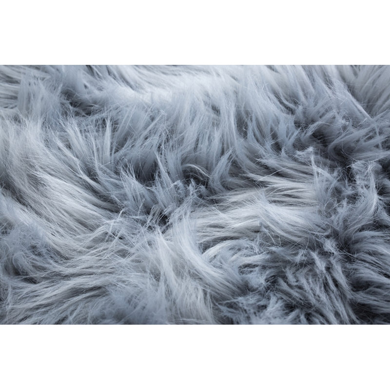 Fugate Novelty 55 cm x 80 cm Area Rug