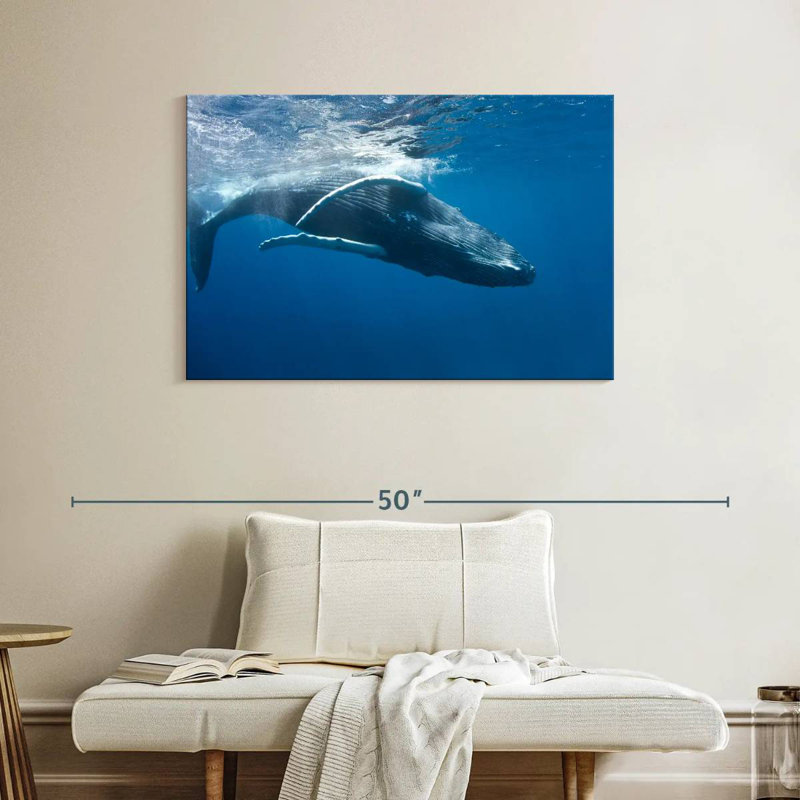 Brampt Humpback Whale