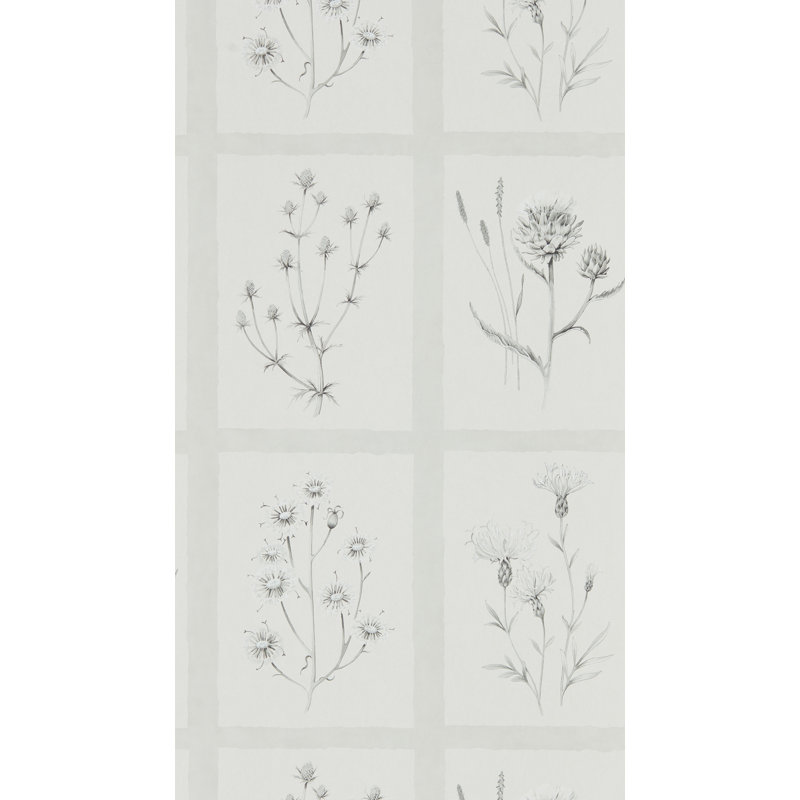 Thistles 10.05m x 52cm Matte Wallpaper Roll, Light Grey