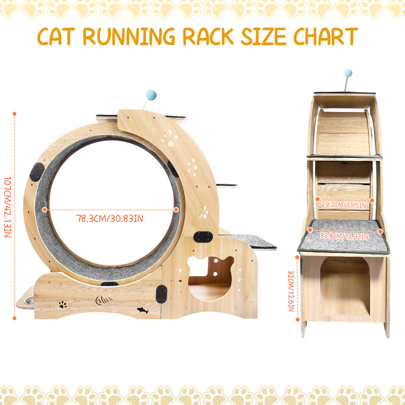 Une roue pour chat pour un plaisir en intérieur