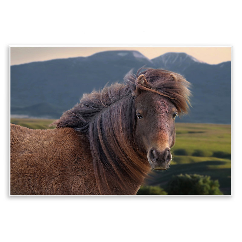 Plaque murale «Windblown Mare in Mountain Valley», design par Steve Toole, H 10 po x l 15 po