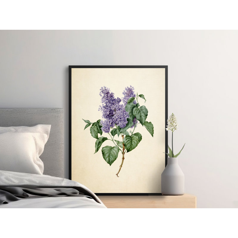 Avalos Print, 20x30