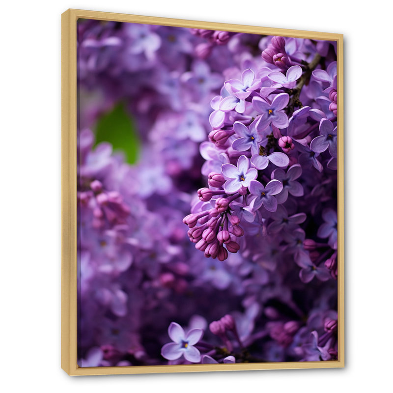 «Lilacs mauves», impression sur toile, H 20 po x l 12 po x P 1 po, Cadre naturel flottant