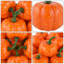 Mini-citrouilles artificielles artificielles pour la fête de l'Action de grâce - ensemble de 16 - orange