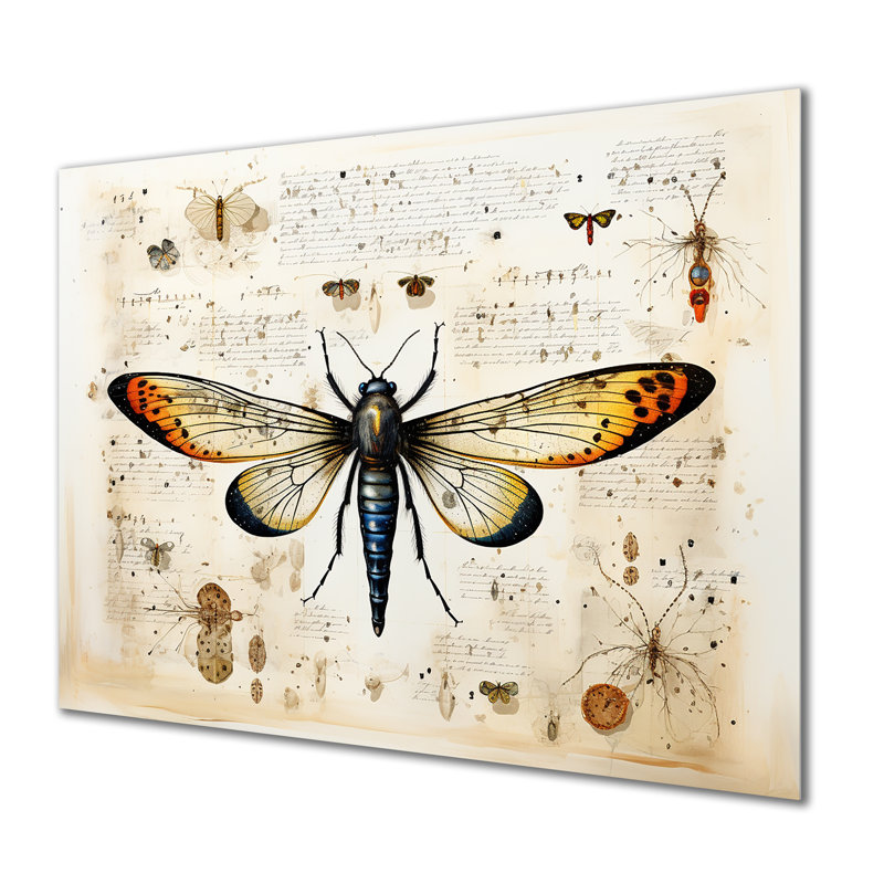 «Beige and Yellow Moth Blueprint - Insectes & Bugsmetal», art mural MT134705, H 12 po x l 20 po x P 1 po