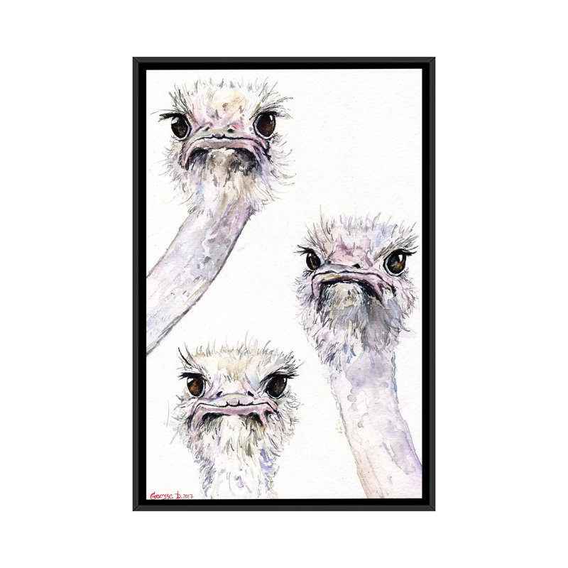 «Ostriches» par George Dyachenko - reproduction d'art sur toile tendue, H 26 po x l 18 po x P 1,5 po, Toile avec cadre noir