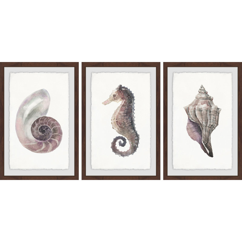 Sea Stuff Triptych - Ensemble de 3 reproductions de cadres photo sur papier, H 36 po x l 24 po x P 1,5 po