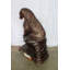 Statue en bronze grandeur nature d'un ours assis sur un rocher Nifao Collection 43 po x 29 po x H 51 po