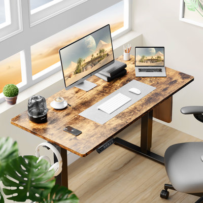 Ovidia Standing & Height-Adjustable Desks