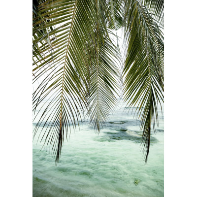 Palm tree leaves and ocean