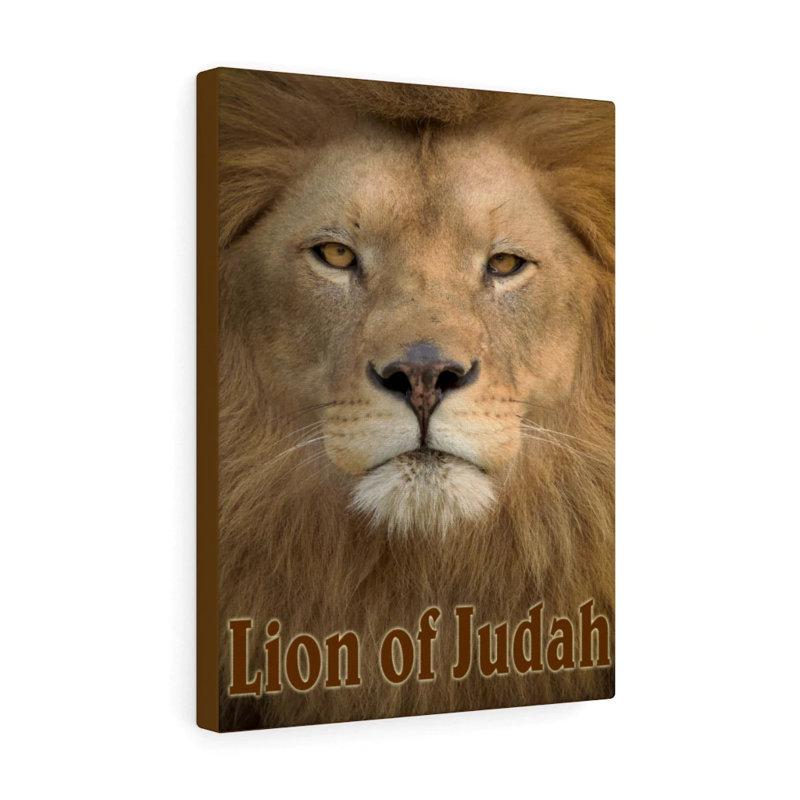 Lion Of Judah - Wrapped Canvas Print, 41cm H x 30cm W