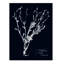 Impressions on Indigo II par Vision Studio - reproduction d'art sur toile-317664522