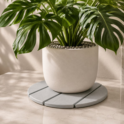 Soucoupe absorbant l'eau Premium Pierre Premium Diatomite