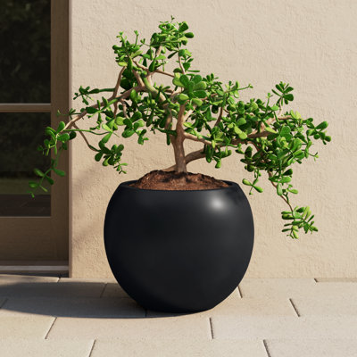 Dorlis 21" Pot Planter