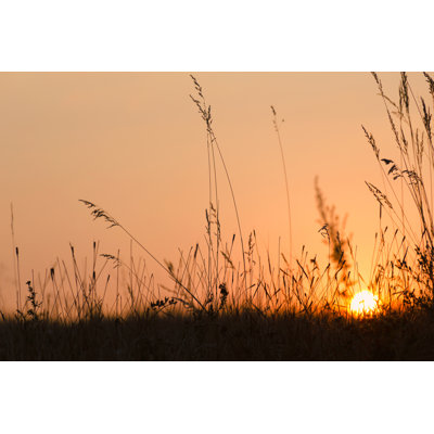 Sunset - Wrapped Canvas Print