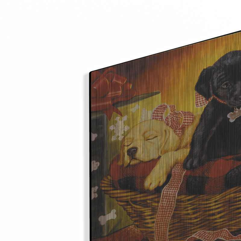 «Lab Basket» par Christopher Nick, H 12 po x l 16 po