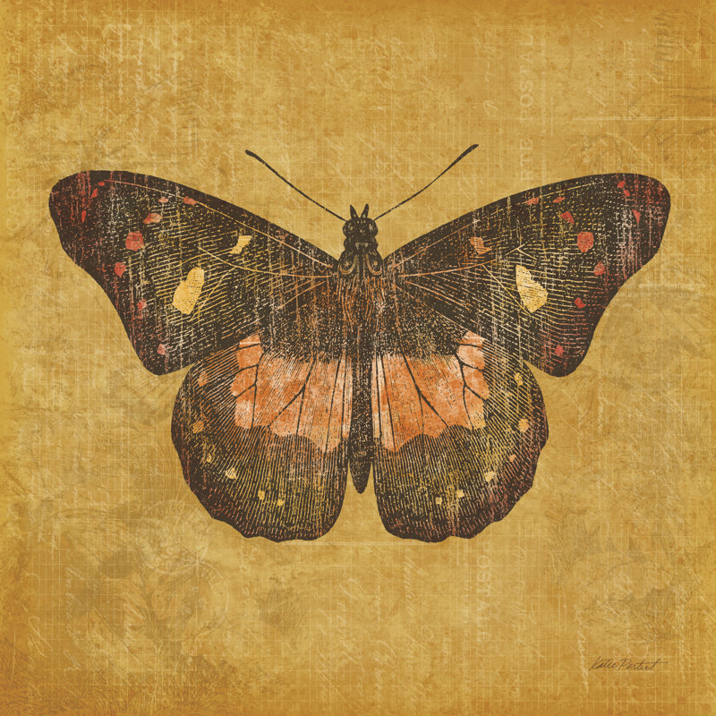 Ochre Butterfly on Canvas, 12" H x 12" W  , No, Walnut Floater Framed Canvas