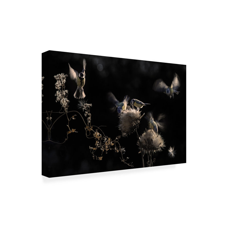 Art sur toile «Boline Martine Benezech», H 22 po x l 32 po