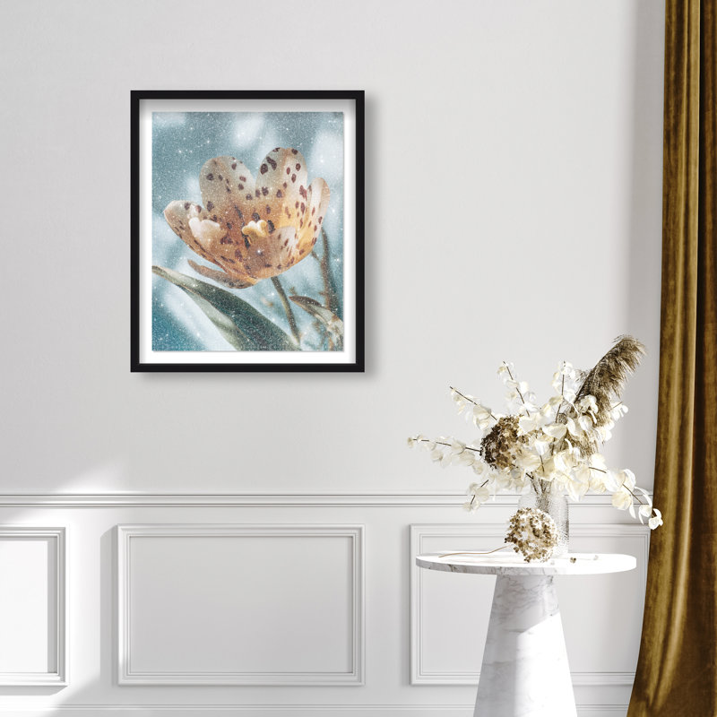 Dapple Bloom II Framed Graphic Art, 31.5"H x 25.5"W, Black Shadowbox