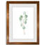 Douce branche d'eucalyptus III - Peinture encadrée sur papier-1908356514-1908356515