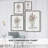 Dainty Botanical III Framed Print - Solid Wood 47369-385632784