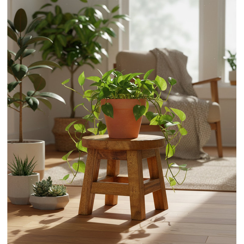 Plant Stand