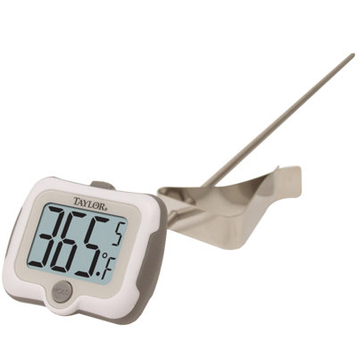 Taylor Candy Digital Thermometer