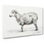 Standing Sheep by Jean Bernard - Wrapped Canvas Drawing - Wrapped Canvas-55318065