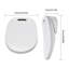 Elongated Toilet Seat and Lid