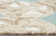 Tapis Anjuman